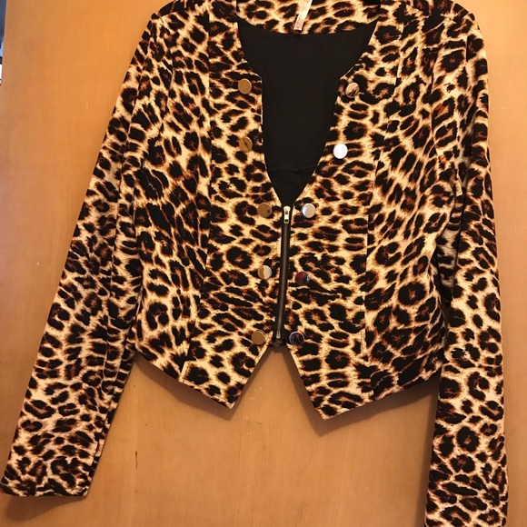 Jacket - Picture 6 of 16